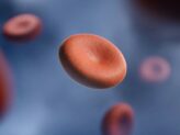 Ein Bild von Blutkörperchen